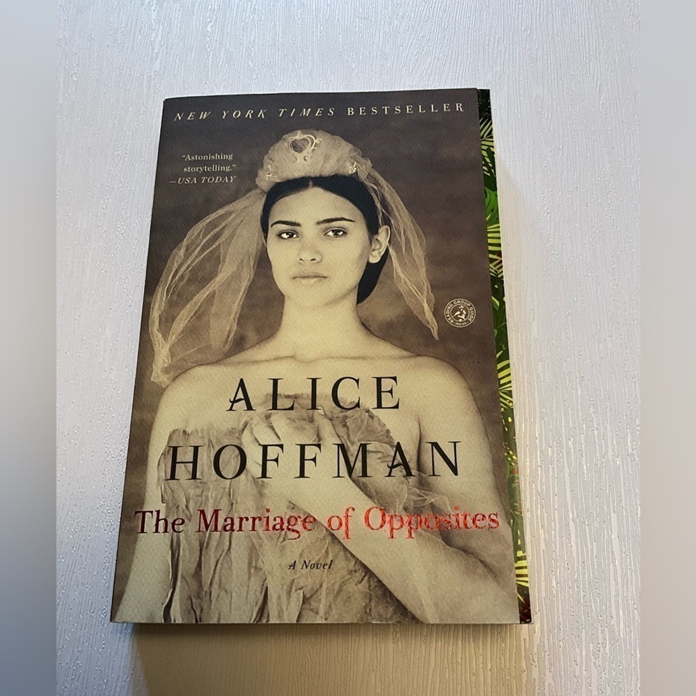 The Marriage of Opposites a Novel Alice Hoffman Paperback Book